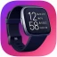 Fitbit Versa 2 App Guide icon