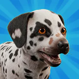 Pocket Paws: Meine süßen Hunde