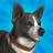Pocket Paws: Meine süßen Hunde icon