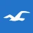 Hollister Co. icon