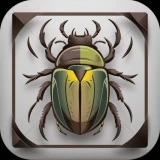 Käfer & Insekten Bestimmen
