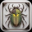 Käfer & Insekten Bestimmen icon