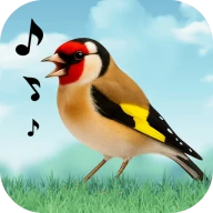 Vogelstimmen icon