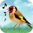 Vogelstimmen icon