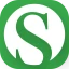 SnagID - Audit de site icon