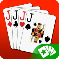 Euchre 3D Card Game Online icon