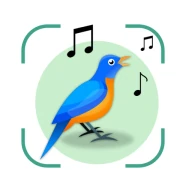 Vogelstimmen Erkennungs App icon