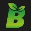 Biomotors icon