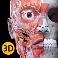 解剖学 - 3Dアトラス icon