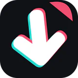 TT Video Downloader