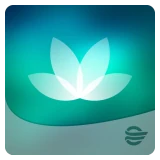 HealtheLife