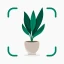 Plantify : Pflanzen Erkennen icon