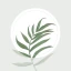 Blossom - Pflanzen bestimmen icon