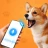Dog Translator & Dog Training icon