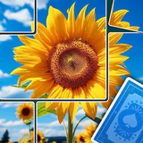 Jigblock Puzzles icon