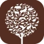 ChassAdapt icon