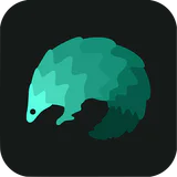 Transocks - 中国人が中国を訪問するためのVPN