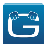 Geotab Drive