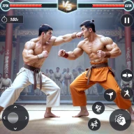 Kung Fu Kampfspiele Offline icon