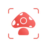 Picture Mushroom - Pilzführer icon