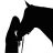 Chevaux - Quiz icon