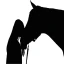 Chevaux - Quiz icon