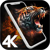 4K Wallpapers - HD Backgrounds icon