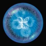 Osmos icon