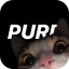 purp - Finde neue Freunde icon