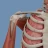 VOKA 3D Anatomie Atlas Lernen icon