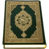 Al-Quran (Pro) icon