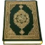 Al-Quran (Pro) icon