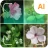 植物識別子 icon