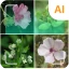 植物識別子 icon