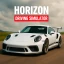 Horizon Driving Simulator icon
