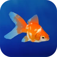 金魚育成アプリ・ポケット金魚 icon