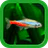 熱帯魚育成「ミニアクア」癒しのアクアリウム体験 icon