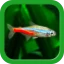 熱帯魚育成「ミニアクア」癒しのアクアリウム体験 icon