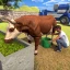 Tierfarm-Sim-Farming-Spiele icon
