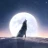 Moonovel-Werewolf Romance icon