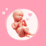 Mia Gravidanza per Settimana icon