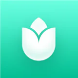PlantIn - Pflanzen erkennen