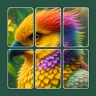 Cardscapes: Puzzle icon
