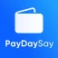 Cash Advance Now - PayDaySay icon