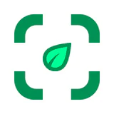 植物 写真 名前 調べる 無料