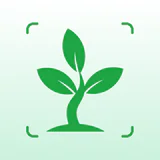 Plant Identifier - Plant Care