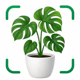 AI Pflanzen Erkennen & Blumen