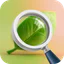 Soins des plantes－Identifiant