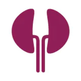 Dialysis of Drugs