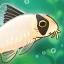 Pondlife — Fish, Frogs & More! icon